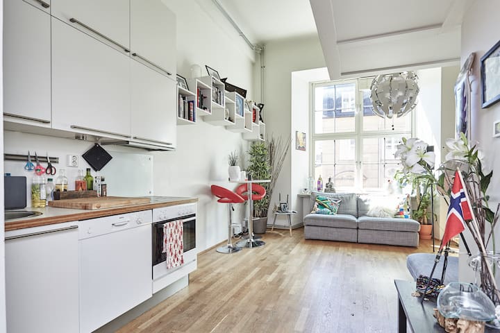 Studio apartment in the heart of Oslo