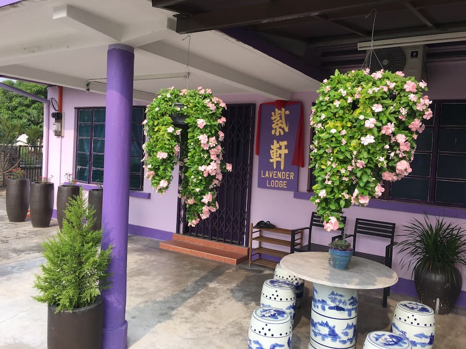 The exterior of Lavender Lodge (smoking area)