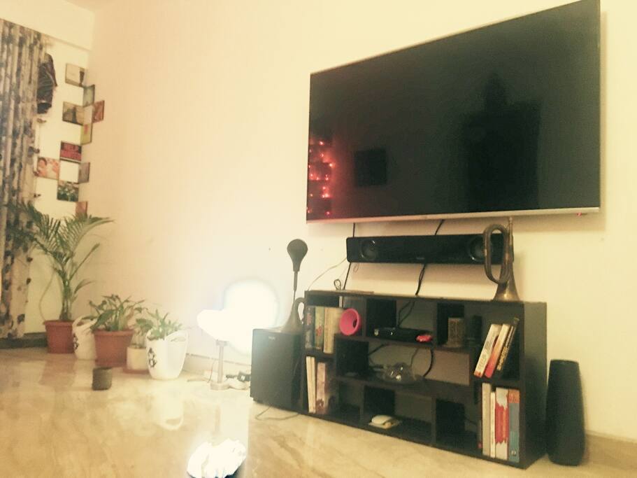 Television Area