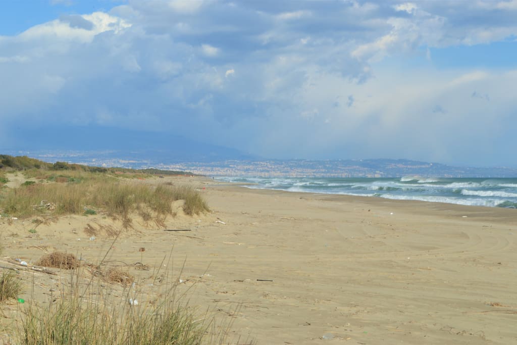 Beach