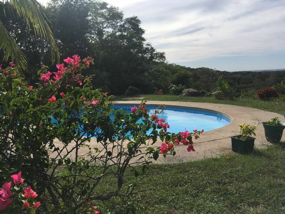 Beautiful pool to relax by and enjoy the ocean view