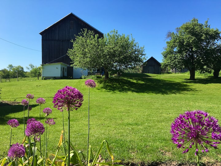 Top 10 Farm Stays In New York, USA Updated 2024 Trip101