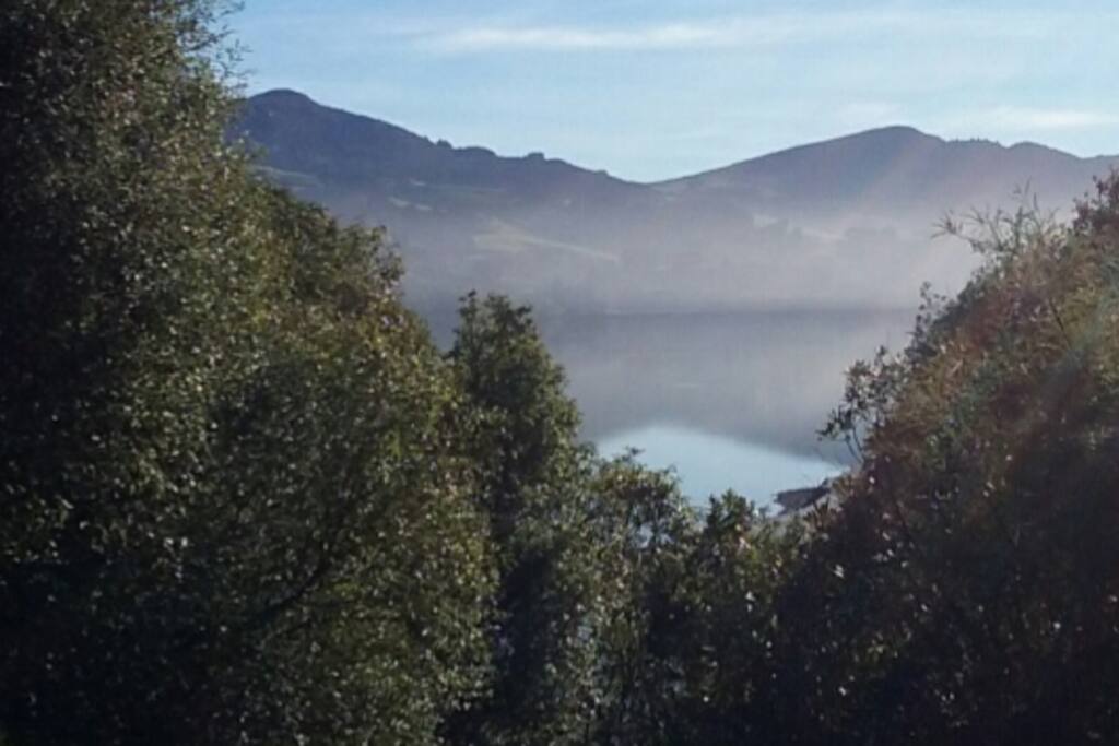 Spectacular harbor view from a bush garden. The call of Bellbird and Tui add to the beauty of this setting.