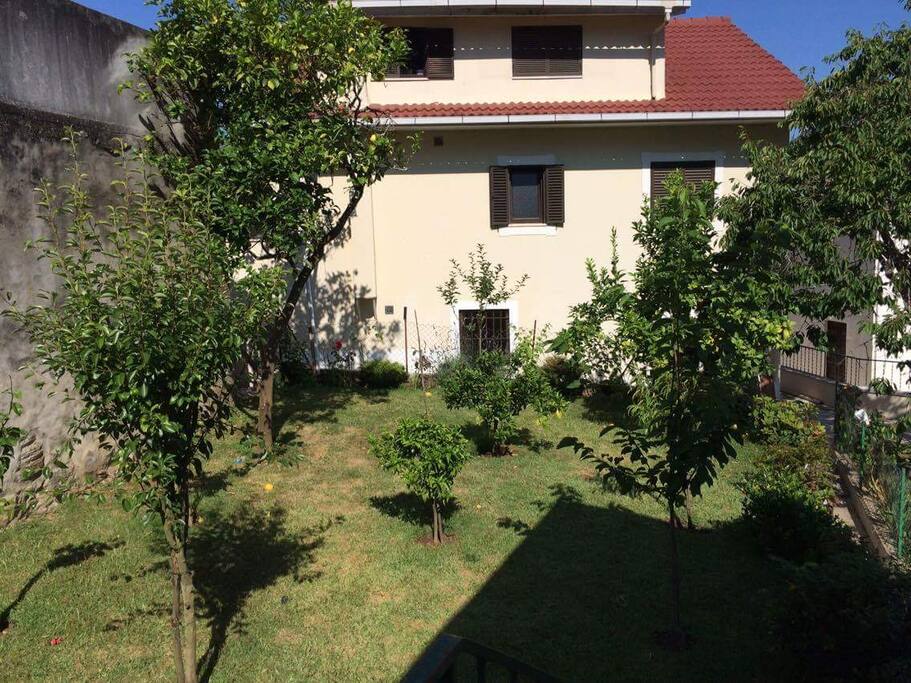 Vue arrière avec jardin
