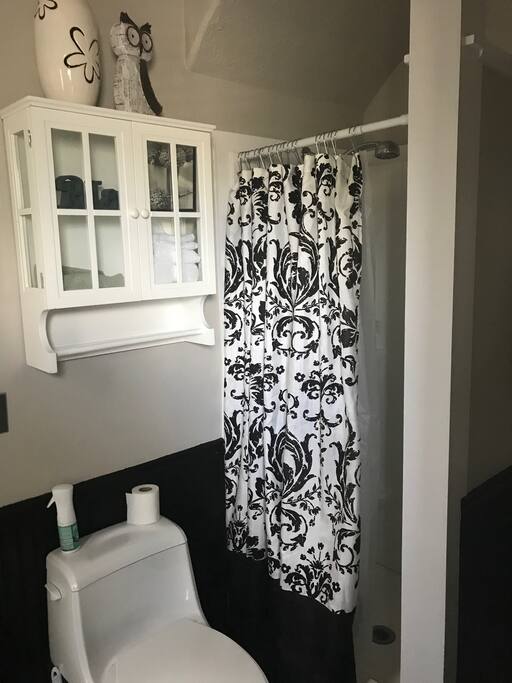 Bathroom with Shower