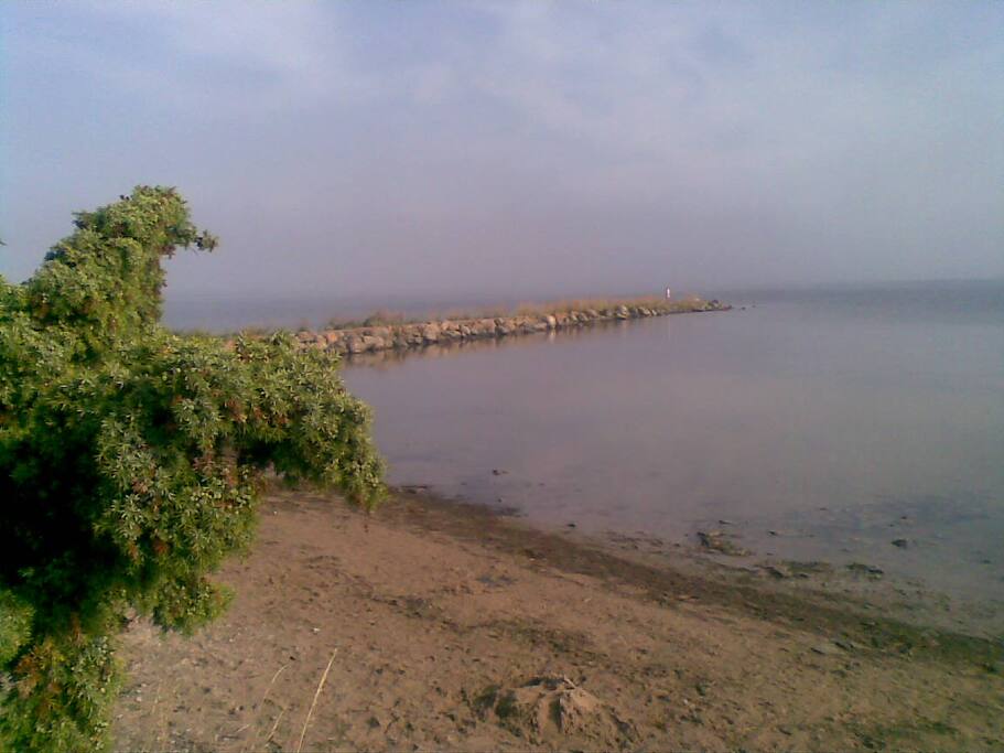 Local beach - within biking distance.