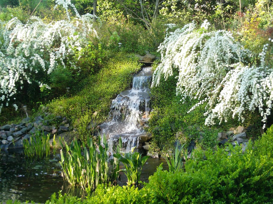 Water Fall