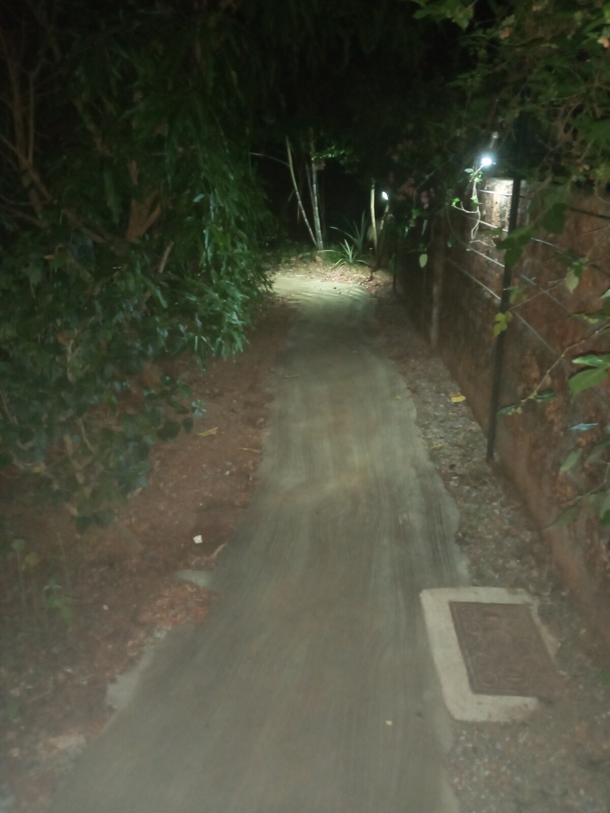 Loutolim Vacation Rentals u0026 Homes - Goa, India  Airbnb