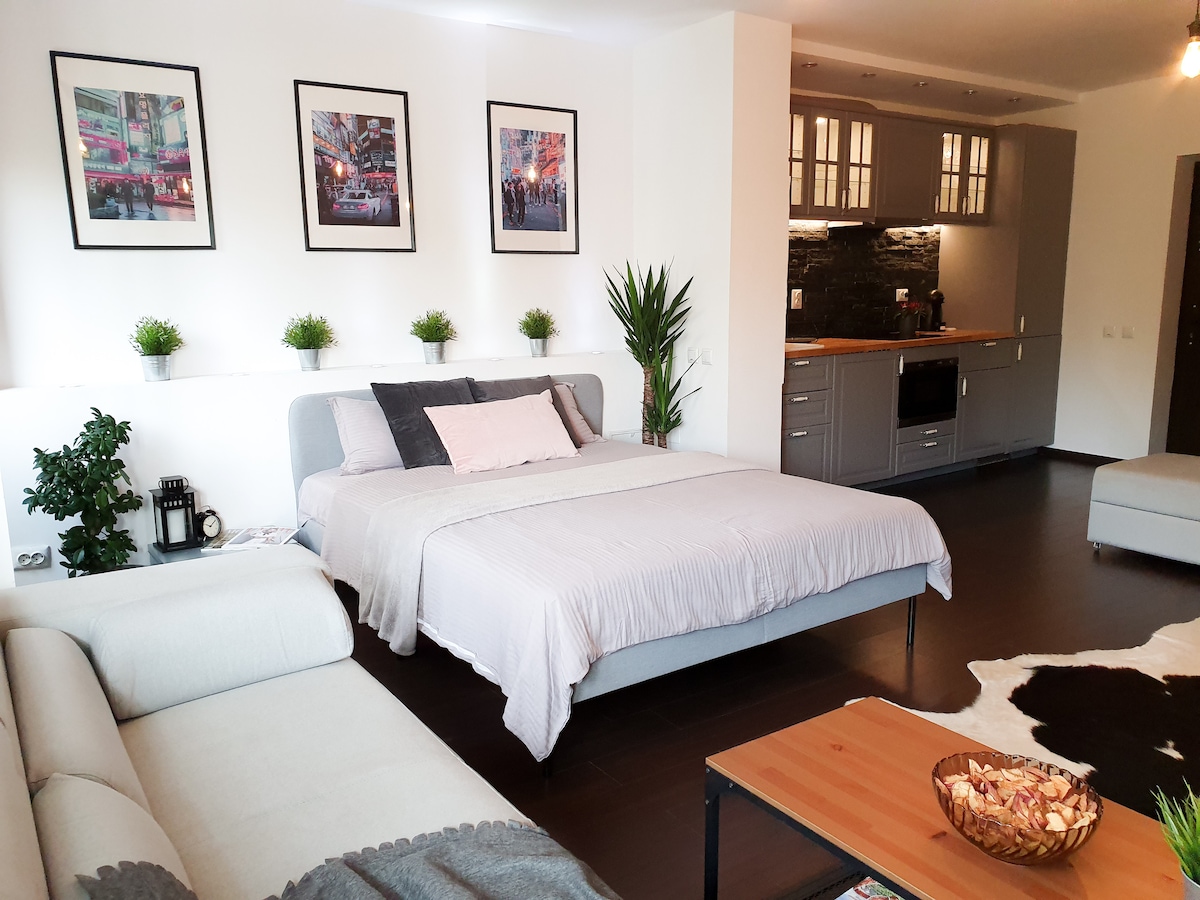 A spacious studio apartment features a large bed with a light-colored blanket, positioned next to a sleek gray kitchen with modern appliances. Framed artwork adorns the wall, and potted plants add a touch of greenery. A cozy seating area includes a neutral sofa and a wooden coffee table.
