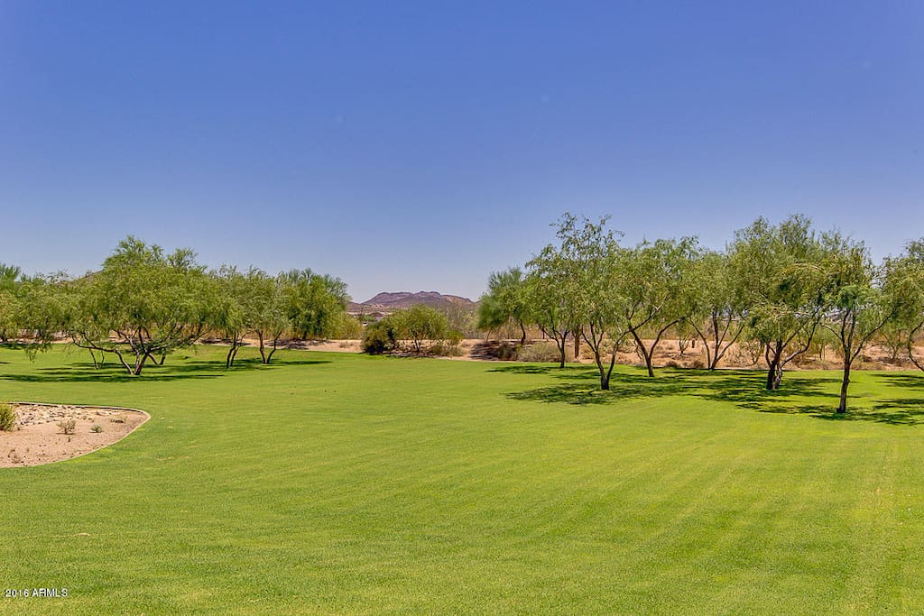Plenty of desert PLUS green space, including lots of walking and hiking trails nearby.