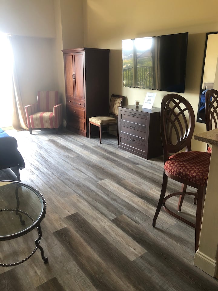 Downtown Tlh Condo, Sleeps 4, Walk To Everything! - Tallahassee, FL
