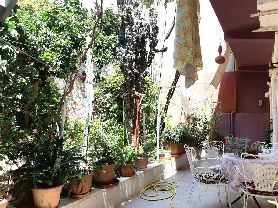The big colourful garden