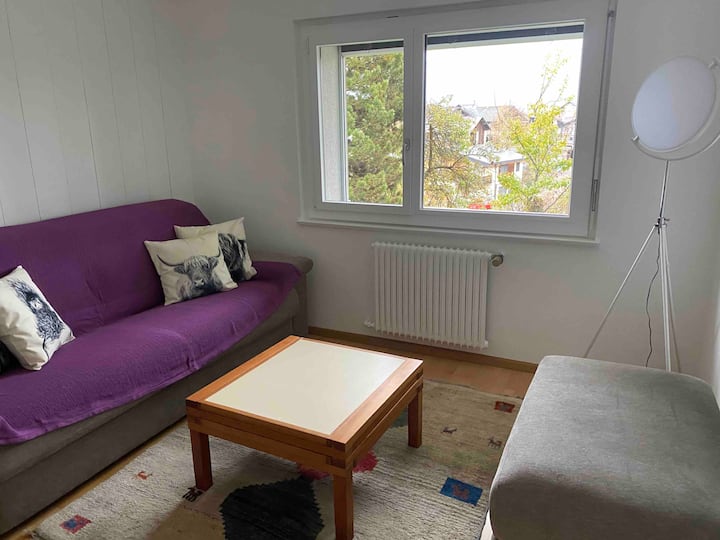 Appartement Dans Une Maison - Crans-Montana