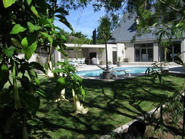 Modern Family home with indoor outdoor living gallery image 2