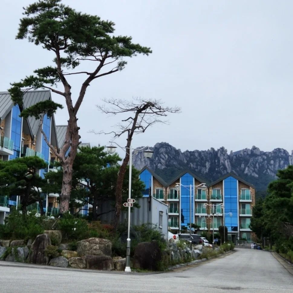 The image features a modern building facade with large glass windows reflecting the surrounding natural landscape. A rocky area with trees is visible in the foreground, while the majestic mountains rise prominently in the background, partially obscured by clouds.