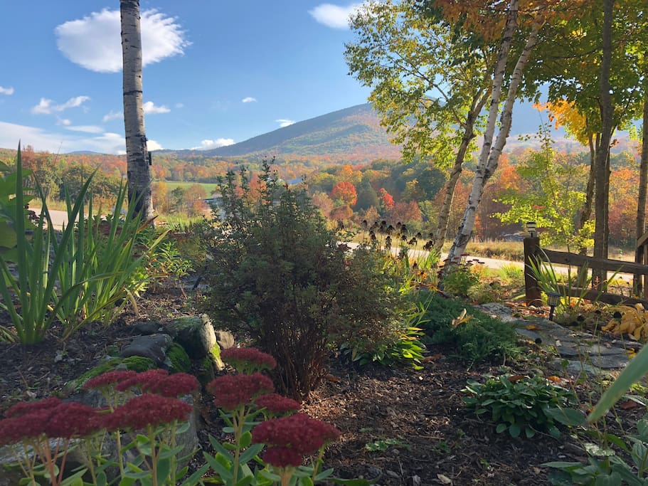 Fall Gardens
