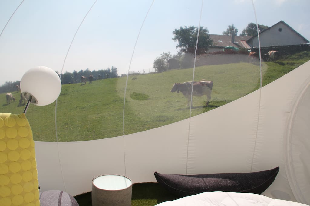 Vue sur la campagne