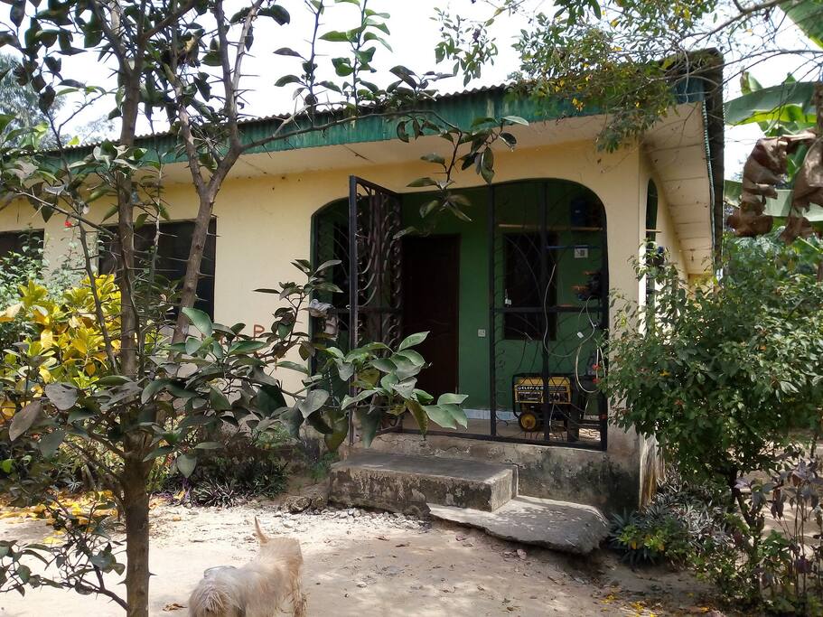 Entrance.