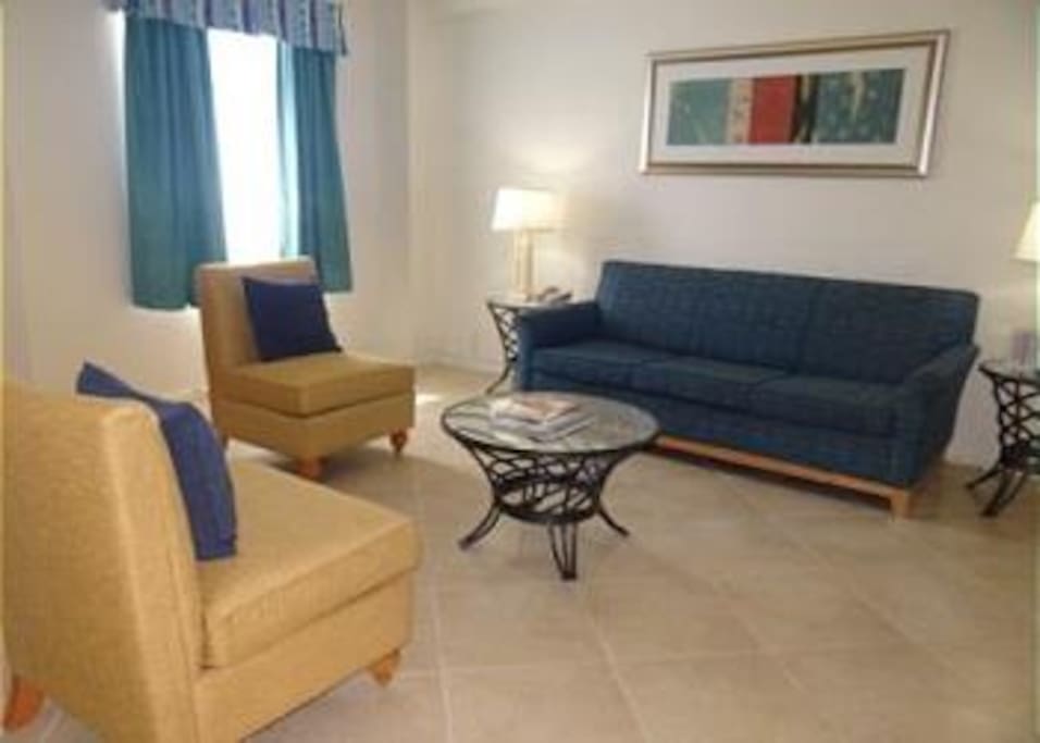 Living room area with a sofa sleeper
