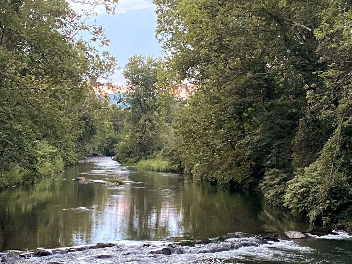 A serene river flows gently through a lush landscape, framed by tall trees and greenery. The surface reflects the soft colors of the sky at sunset, creating a calming atmosphere. Rocks can be seen along the riverbed, contributing to the natural scenery.