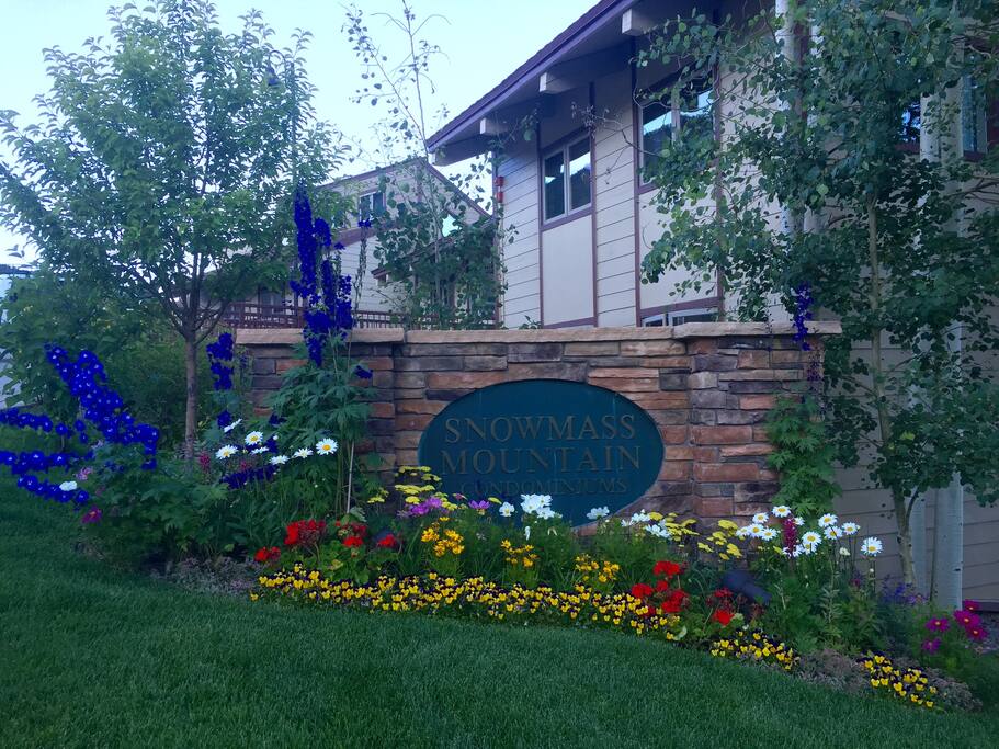 Snowmass Mtn Condomiums.