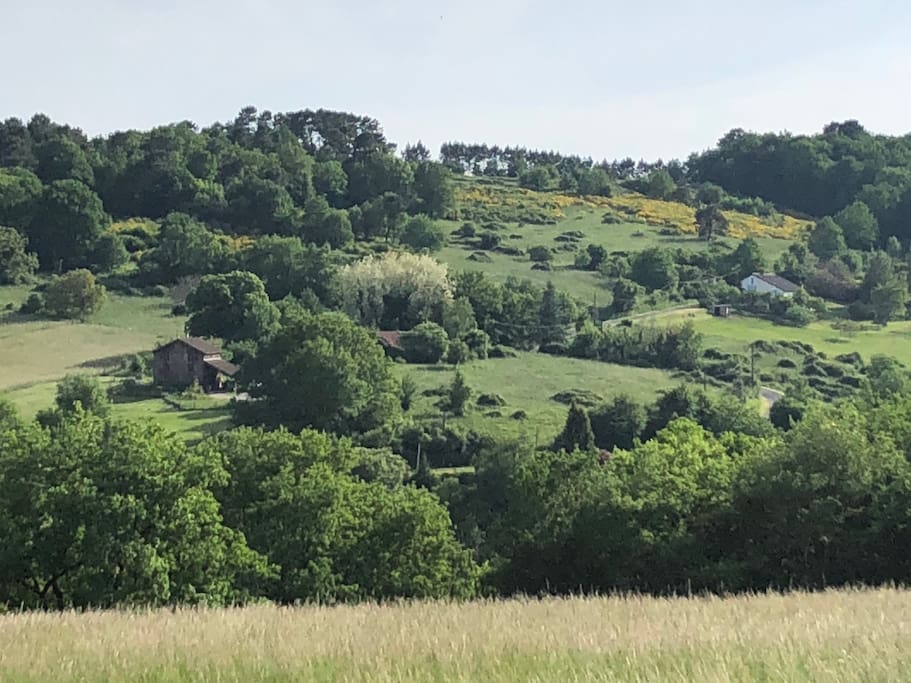 vue depuis la maison