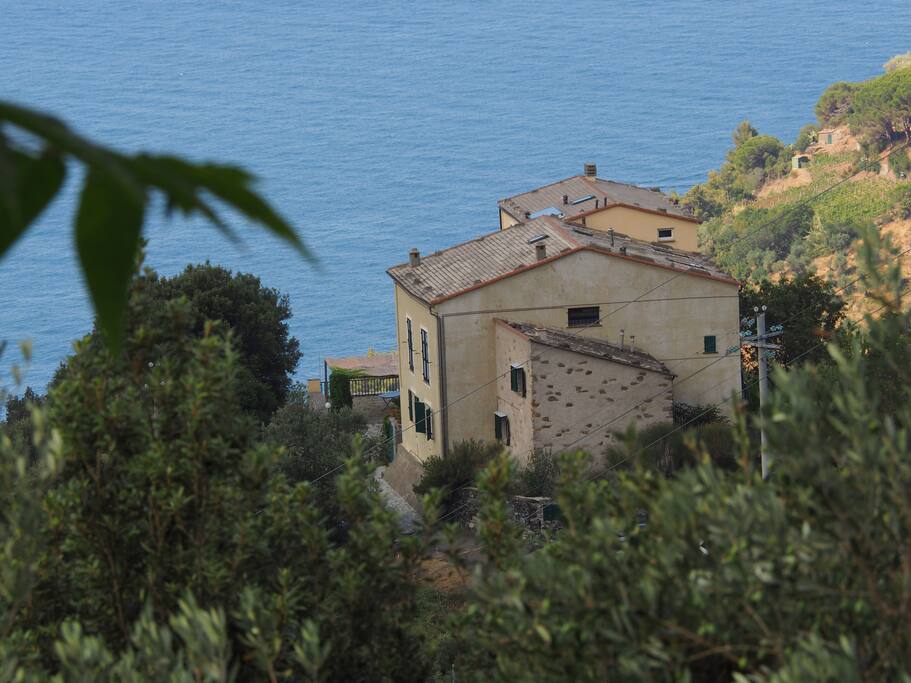 La Località Camminate