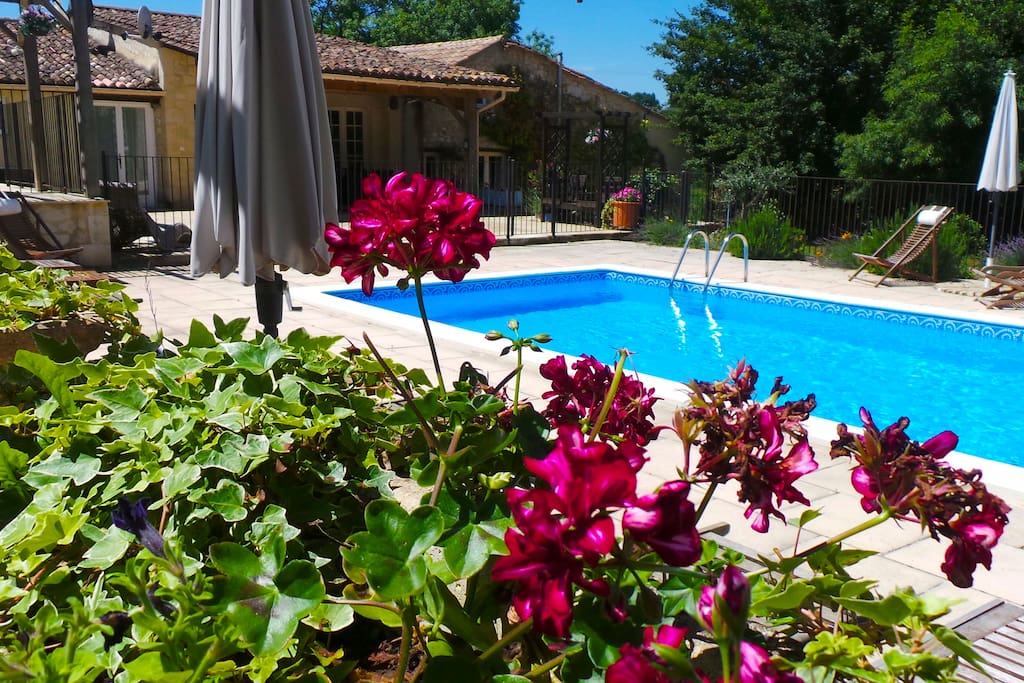 Securely fenced HEATED pool Area. Loungers with cushions & Deck chairs