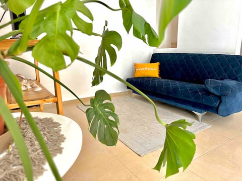 Successful Airbnb property: Chelita's House in Fraccionamiento Sian Kaan Iv