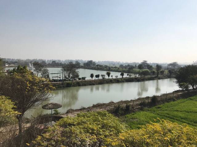 Lake View Farm Stay - private room