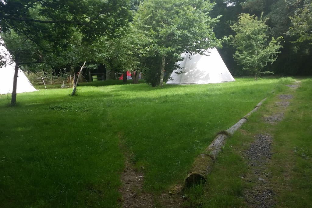 Camping field 2
