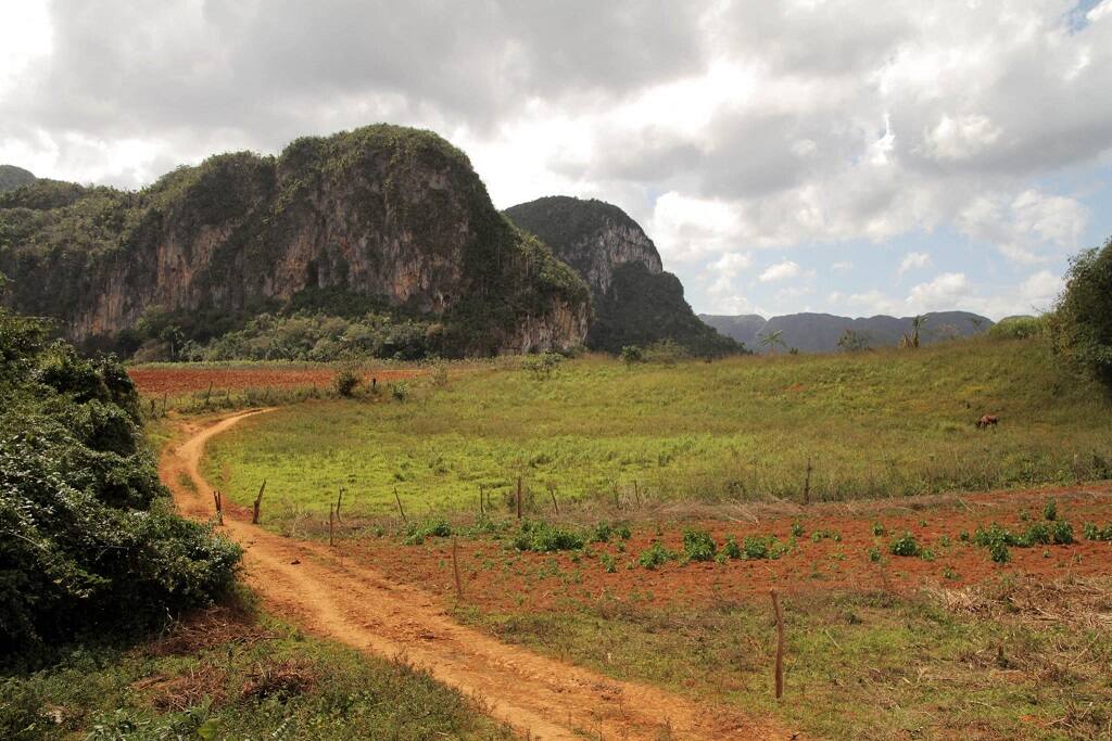 incluido servicio de guias por diferentes lugares del valle de viñales.