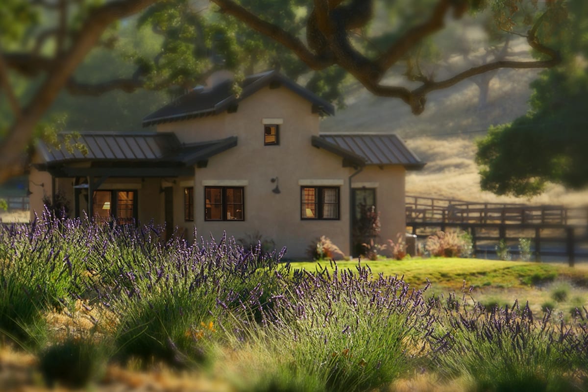 A charming cottage is nestled among vibrant lavender blooms, showcasing a rustic exterior with warm windows glowing softly. The surrounding landscape includes rolling hills and distant wooden fencing, enhancing the serene setting in the Santa Ynez Valley.