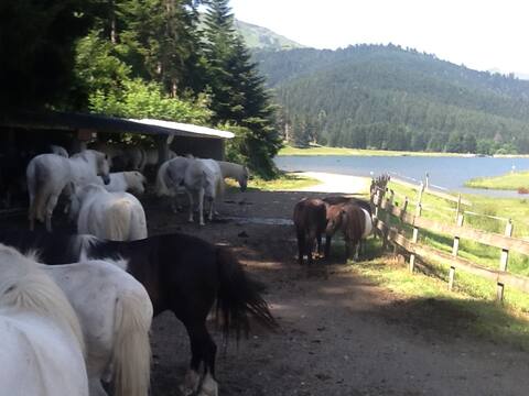 cottages 8 people the vachement bien