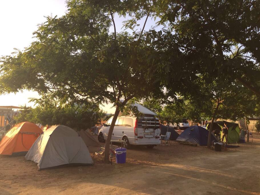 Huéspedes festival Alrumbo 2016