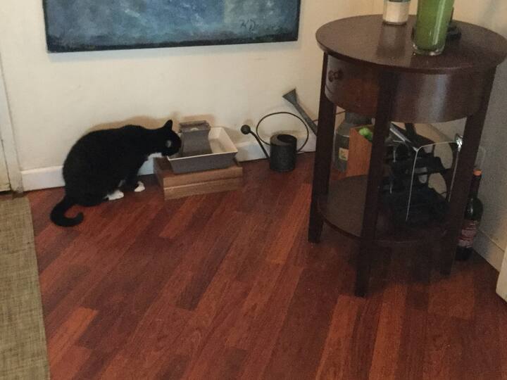 Picha ya Comfortable, Well Appointed and Accessible 1