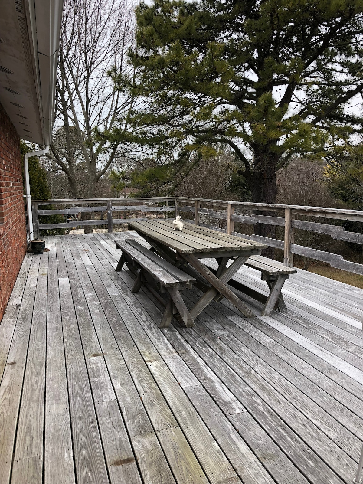 A spacious wooden deck is featured, adorned with a large picnic table and benches. The deck offers a view of the surrounding trees, creating a calm outdoor space for relaxation. The weathered wood adds a rustic charm to the area.