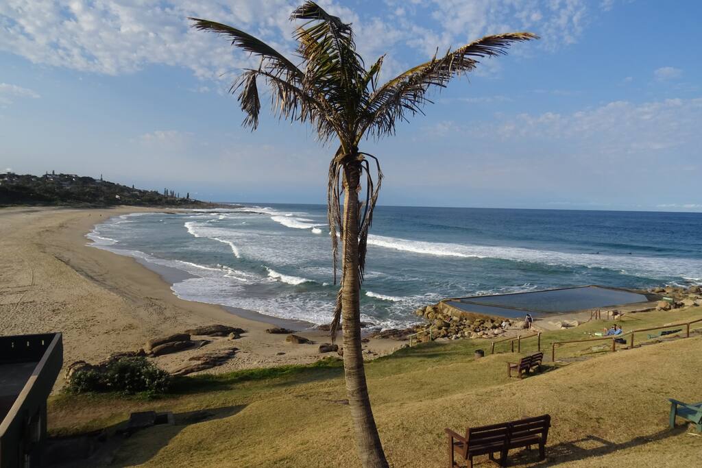 Shark protected Main Breach