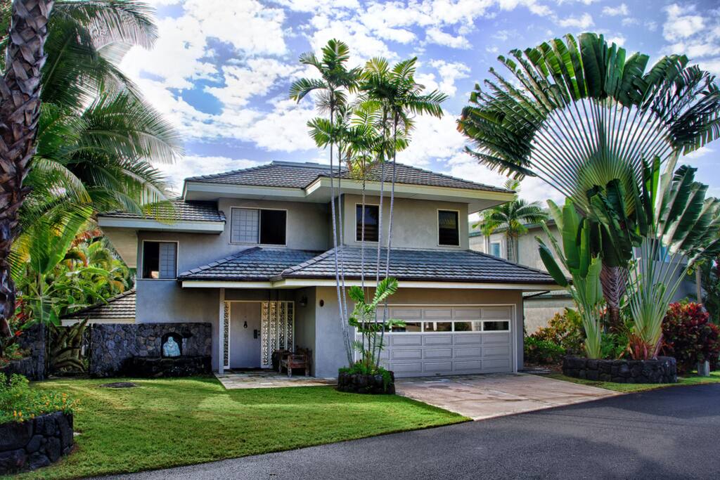 Palm Tree,Tree,Building,Villa,Wall