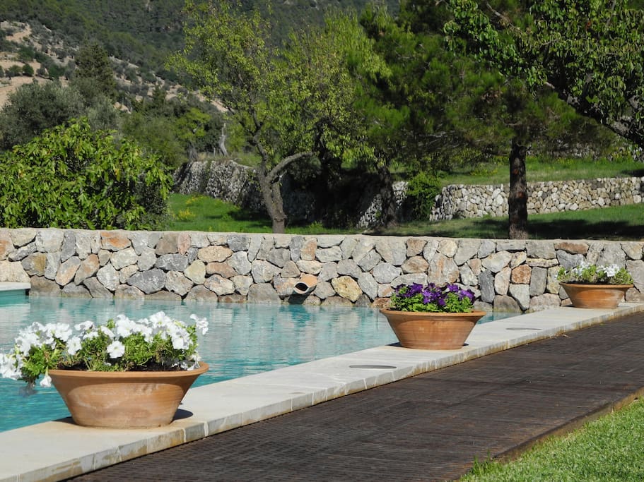 detalle de la piscina