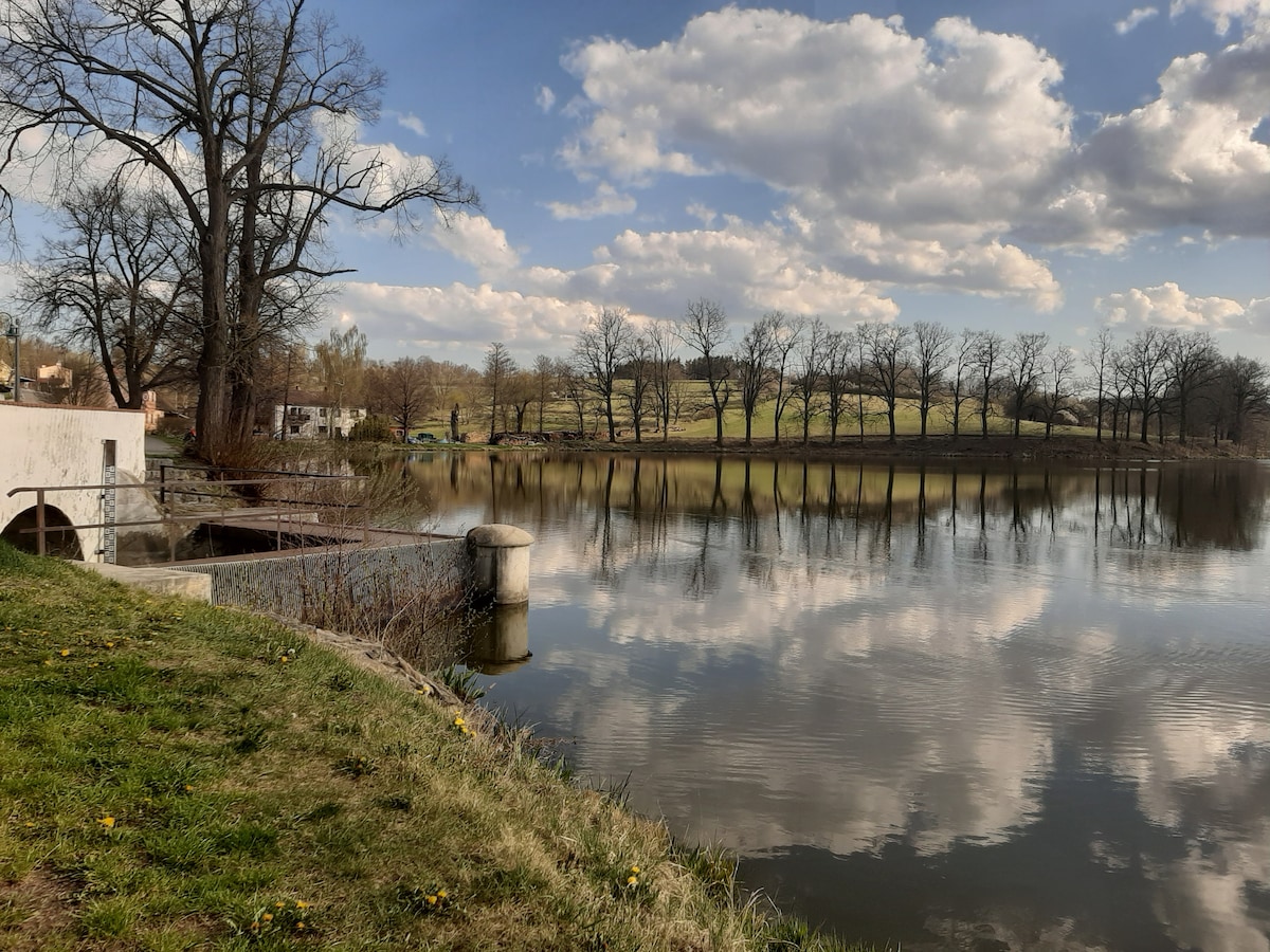 A serene view of a lake reflects the soft clouds above, surrounded by bare trees and open fields. The grassy shore leads to a gently sloping bank, creating a peaceful atmosphere, ideal for relaxation and outdoor activities.
