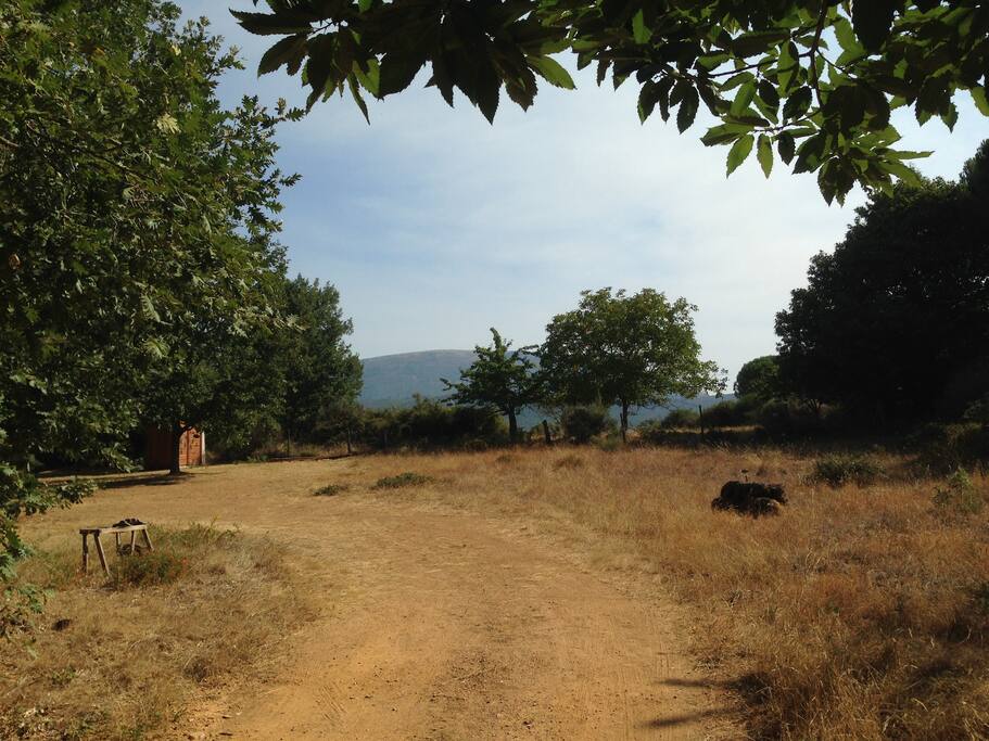 Acceso a la finca