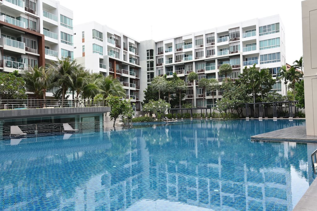 Huge swimming pool (60x30 meter)