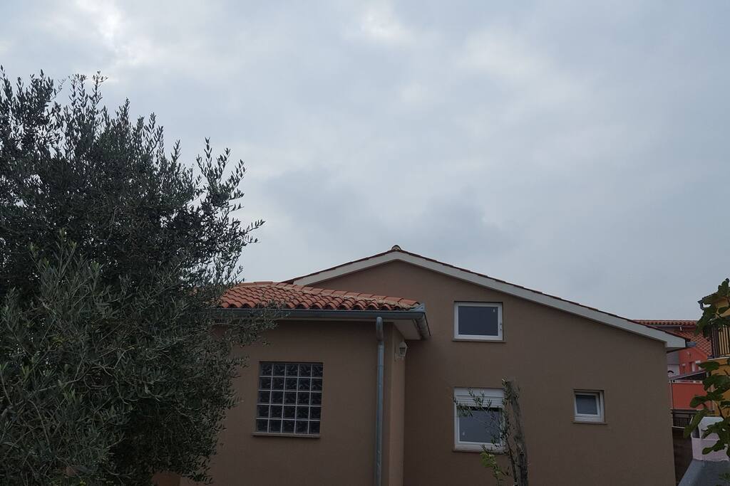 back yard