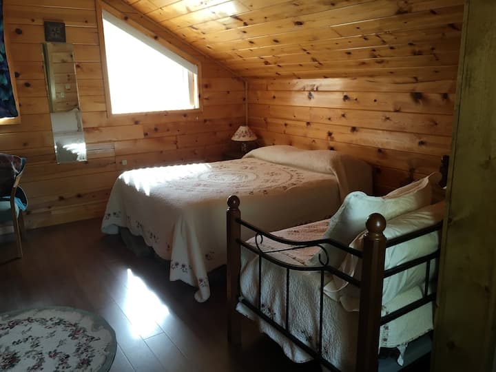 Upstairs bedroom with Queen bed and twin day bed