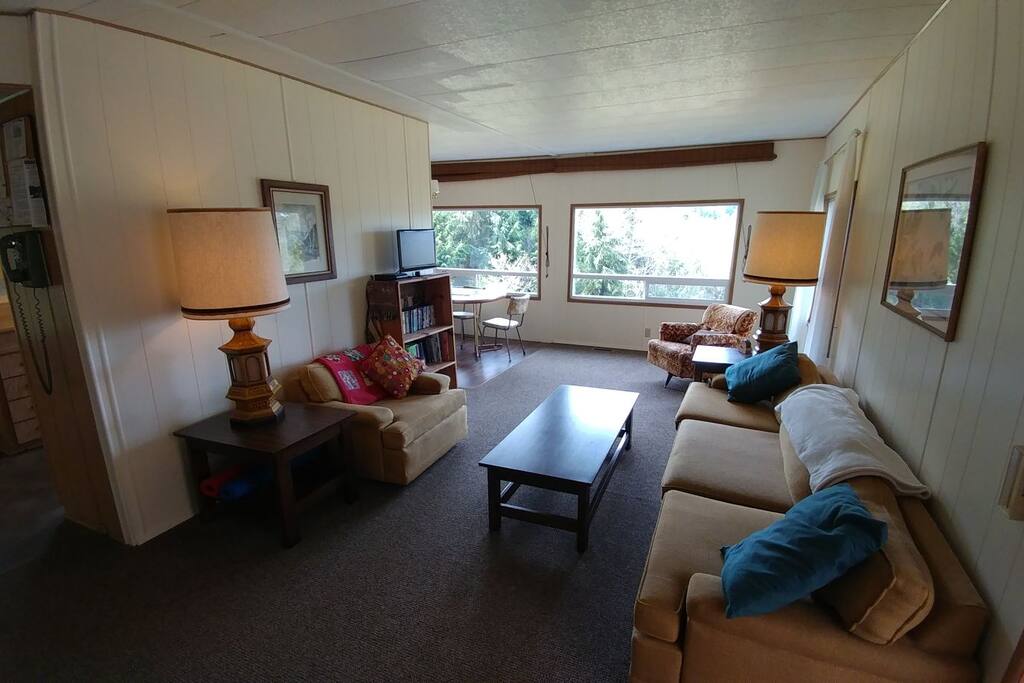 Living room, couch makes for a comfy single bed