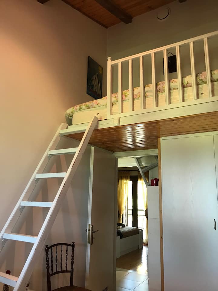 ......... y una cama loft para pequeños exploradores bajo la supervisión de los padres, por supuesto.