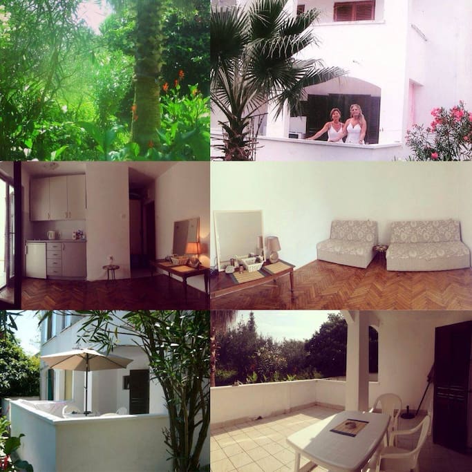 the overview of the appartment and its immediate surroundings