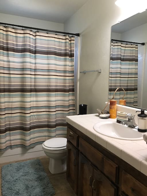 Airbnb/Guest Bathroom