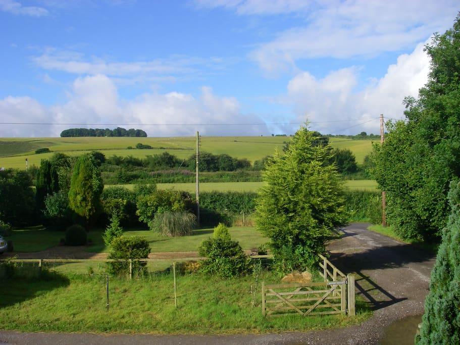 View from guest room (front).